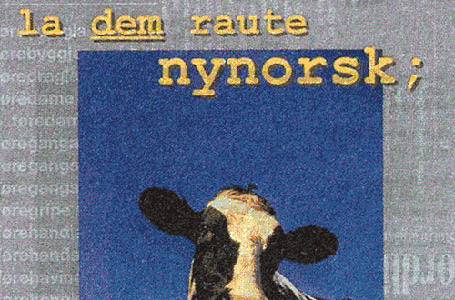 Et forsvar for spynorsken